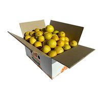 5 KG LIMONES 100% COMUNIDAD VALENCIANA