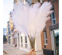 5 Piezas de Hierba de Pampa Artificial 39 en 100 cm Ramo de Bricolaje florero año Nuevo Vacaciones Boda Fiesta decoración del hogar Planta simulación Flor caña (Blanco)
