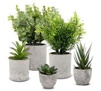 5 Piezas Pequeño Plantas Artificiales Decorativas con Macetas, Plantas Decorativas, Plásticos Mini Plantas Falsas, Lengua de Serpiente, Eucalipto, Ecologización Artificiales Macetas para Interior