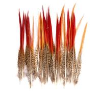 5 plumas rojas de faisán de Lady Amherst, plumaje natural, decoración para boda, hogar, escenario, fotografía, bricolaje
