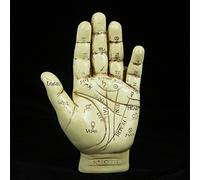 5 "Quiromancia diseño de mano por David Lawrence sintética marfil color viene con un manual de quiromancia