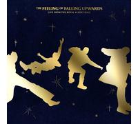 5 Seconds Of Summer - 5 Seconds Of Summer - The Feeling Of Falling Upwards (CD Deluxe)