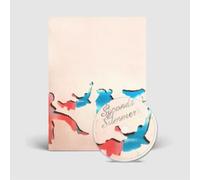 5 Seconds of Summer – 5SOS5 – CD – Edición Deluxe