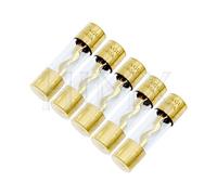 5 uds chapado en oro 10x38mm AGU fusible de vidrio amplificador Audio for coche 10A 15A 20A 25A 30A 40A 50A 60A 70A 80A 100A(40a)