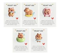 5 unidades de bolsillo para abrazar capibara, regalo para mujeres, abrazos de bolsillo, bonitos bolsillos pequeños, capibara, abrazo con tarjeta de felicitación alentadora, regalos alentadores para