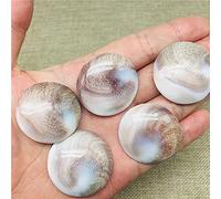 5 unids Natural Sun Shell Fósiles Fósiles Fósiles Circular Espécimen Cristal Amor Heart Reiki-5pc