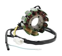 5-Wire Stator Generator for SMC Rex Explorer ATV