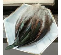 50/100 stuks natuurlijke hanenveren 12-18 cm/5-7 inch fazantenhanenveren voor doe-het-zelf-knutselwerkjes en het maken van sieradenaccessoires - A1-50 stuks