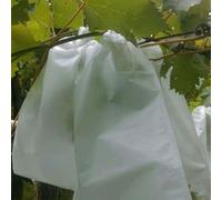 50 fundas reutilizables para frutas para proteger manzanas y melocotones en el jardín (250 x 300 mm)