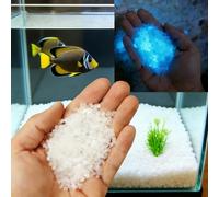 50 g de arena que brilla en la oscuridad para grava de acuario, piedras luminosas de resina de 3 a 5 mm, piedras brillantes para terrario, micropaisajes, decoración de jardín suculenta (blanco)