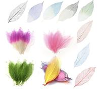 50 hojas de esqueleto de magnolia natural, álbum de recortes, color mixto