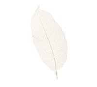 50 hojas de esqueleto de magnolia natural para tarjetas, álbumes de recortes, color blanco