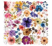 50 pegatinas transparentes de PET, pegatinas aesthetic scrapbook para álbum de fotos, kindle laptop, niños, adolescentes, adultos, flores de colores