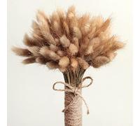 50 Piezas de Hierba de Colas de Conejo, Ramo de Flores secas Naturales, decoración de jarrón de Plantas Pampas, Colas de Conejo secas para decoración del hogar