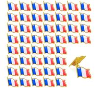 50 piezas de pino bandera francesa de metal pin's bandera francesa broches de banderas nacionales franceses insignia de pin de Europa Pins traje fiesta nacional francesa aficionados al deporte