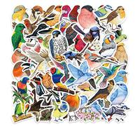 50 Piezas Los Pájaros Pegatinas para Niños y Niñas,Adolescentes,Portátiles,Maleta,Bicicletas,Monopatín,Guitarra,Casco,Equipaje,Coche,Bird Impermeable Vinilo Pegatinas Decorativas