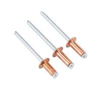 50 Piezas Remaches Ciegos 4,8mm, Remaches Pop de Cabeza Domo, Remaches de Núcleo Acero Tapa Cobre para Bricolaje, Auto, Muebles, Construcción, Barcos, Maquinaria(4.8X10mm)