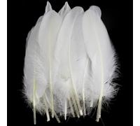 50 plumas blancas de ganso naturales para decoración de boda, alas de ángel y manualidades de hadas, 15-20 cm