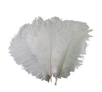 50 plumas de avestruz blancas para decoración del hogar, decoración del hogar, centro de mesa, manualidades, accesorio para fiesta escolar