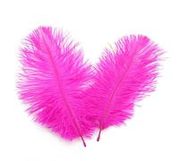 50 plumas naturales de avestruz de 6 a 8 pulgadas, plumas de ciruela para manualidades, centros de mesa de boda, fiesta, decoración del hogar (rosa intenso)