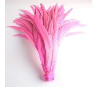 50 plumas naturales de cola de gallo de 25 a 40 cm/10 a 16 pulgadas, decoración de ropa, puesta en escena, plumas de cola de gallo, color rosa, 25 a 30 cm