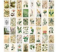 50 postales botánicas, tarjetas artísticas de paisaje floral para decoración de pared, álbumes de recortes, saludos, invitaciones y decoración del hogar, estilo vintage fresco
