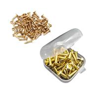 50 tornillos para golpeador de guitarra con caja de almacenamiento, para guitarra eléctrica, bajo, placa de arañazos, tornillos de montaje para placa de arañazos