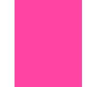500 PAGES LARGE RULED JOURNAL/NOTEBOOK/DIARY ( 8.5''X11'' ) - 1: deep pink
