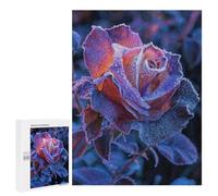 500 PCS Rompecabezas para Adolescentes Black Rose Rompecabezas para Adultos Juguetes Antiestrés Desafío Difícil Cumpleaños