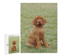 500 PCS Rompecabezas para Adolescentes Hungarian Vizsla Puppy Juegos Familiares De Rompecabezas para Adultos Que Mejoran La Memoria Ayudan A Ejercitar El Cerebro 500 PCS