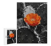 500 PCS Rompecabezas para Adolescentes Orange Flower on Black and White Cactus Rompecabezas Juegos Relajantes Pero Divertidos Y Humorísticos Cumpleaños Y Navidad 500 PCS