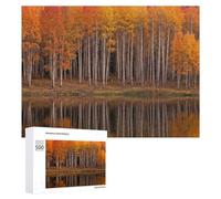 500 PCS Rompecabezas para Adultos Autumn Aspen Trees Reflected in Lake Rompecabezas para Adultos Juguetes De Bricolaje Análisis Y Lógica Cumpleaños Y Navidad 500 PCS