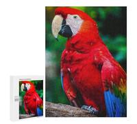 500 PCS Rompecabezas para Adultos Red Yellow and Blue Parrot Rompecabezas para Adultos Juguete Decoración De Pared Mejora Los Recuerdos Regalos para Amigos Y Familiares 500 PCS