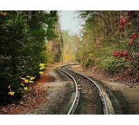 500 Piezas Puzzle,Puzzles para Adultos - Rieles árboles ferroviarios 52x38cm