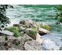 500 Piezas Puzzle,Rompecabezas Jigsaw Puzzle - Piedras de Ramas de río 52x38cm