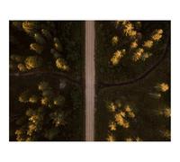 500 Piezas Puzzles, Idea de Regalo para Ella o Él-Carretera,Vista aérea,abetos,bosques,árboles 52x38cm