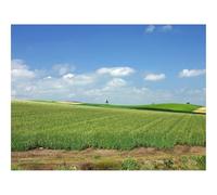 500 Piezas Puzzles, Idea de Regalo para Ella o Él-Japón,Campo,Cultura,Economía 52x38cm