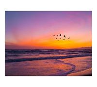 500 Piezas Puzzles,Juego Educativo, Desafío-Pájaros,bandada,Puesta de Sol 52x38cm