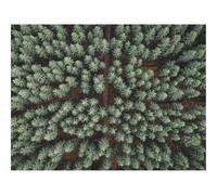 500 Piezas Puzzles,Juego Familiar Actividad en el-bosques,Camino,Vista aérea 52x38cm