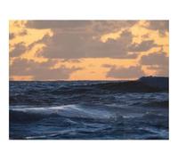 500 Piezas Puzzles para Adultos y niños a Partir de 14 Años-Mar,Horizonte,Cielo,Tarde 52x38cm