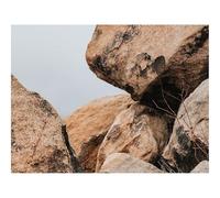 500 Piezas Puzzles,Regalos Rompecabezas-Piedras,Bloques,Rocas,Ramas 52x38cm