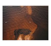 500 Piezas Puzzles, Rompecabezas de Desafío Duro Imposible-Barco,mar,Vista aérea 52x38cm