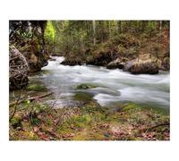 500 Piezas Puzzles, Rompecabezas de Desafío Duro Imposible-bosques,río,Flujo 52x38cm