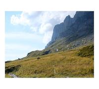 500 Piezas Puzzles, Rompecabezas de Desafío Duro Imposible-Rocas,Colina,Hierba,Camino,Piedras,Naturaleza 52x38cm