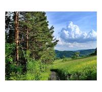 500 Piezas Puzzles, Rompecabezas DIY, Diversión-bosques,árboles,Camino 52x38cm