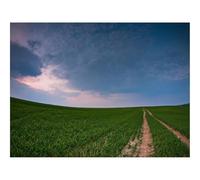 500 Piezas Puzzles, Rompecabezas DIY, Diversión-Campo,Camino,país 52x38cm