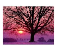 500 Piezas Puzzles,Rompecabezas para Adultos-Declive,árbol,Ramas 52x38cm