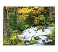 500 Piezas Puzzles,Rompecabezas para Adultos-Oregón,Madera,árboles,otoño,río,Piedras 52x38cm