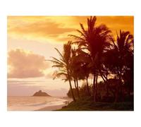 500 Piezas Puzzles,Rompecabezas para Adultos-Palmeras,Costa,Luz del Sol,Declive,Atardecer 52x38cm