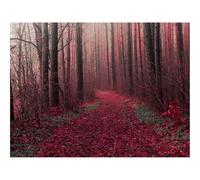 500 Piezas Puzzles,Rompecabezas para Adultos y niños-bosques,árboles,Camino 52x38cm